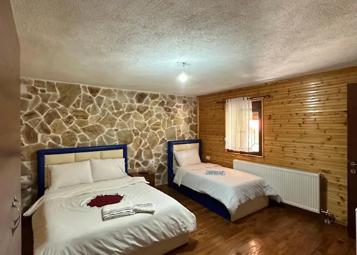 Shtepi Druri Arber *