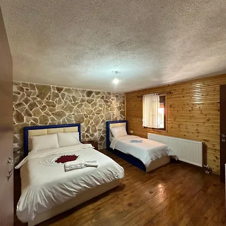 Shtepi Druri Arber *