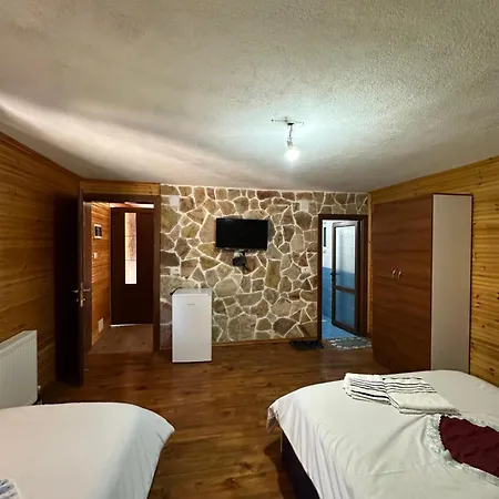 Shtepi Druri Arber *