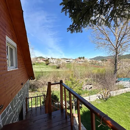 Shtepi Druri Arber *